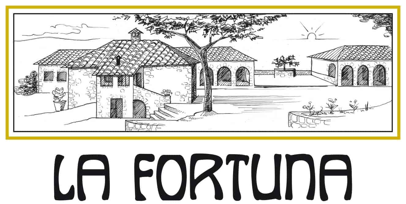 La Fortuna logo