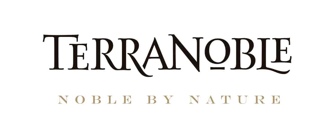 Viña TerraNoble logo