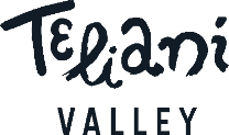 JSC Teliani Valley  logo