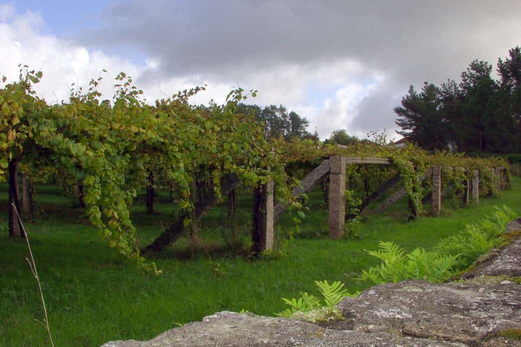 wineSpec