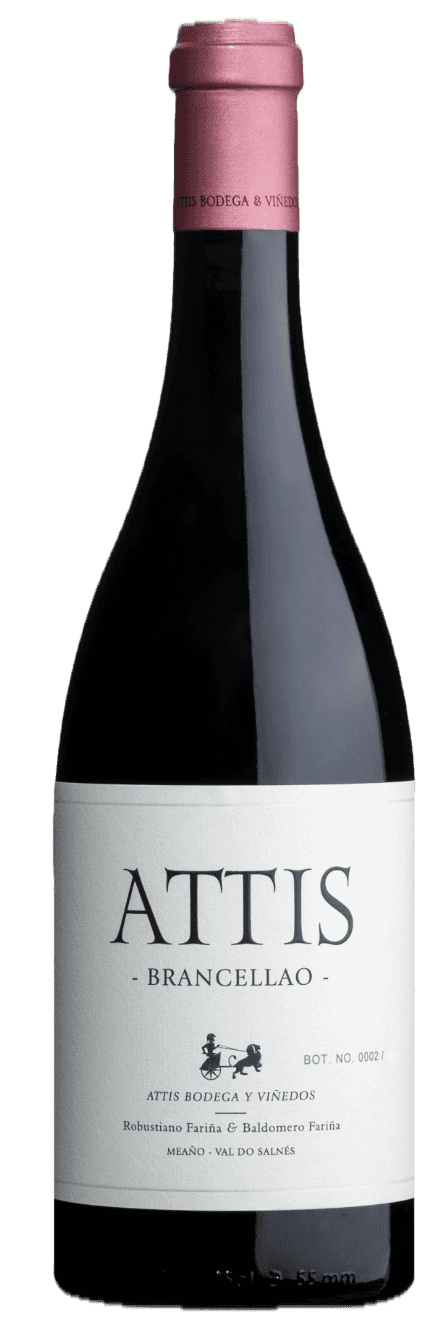 wine-img