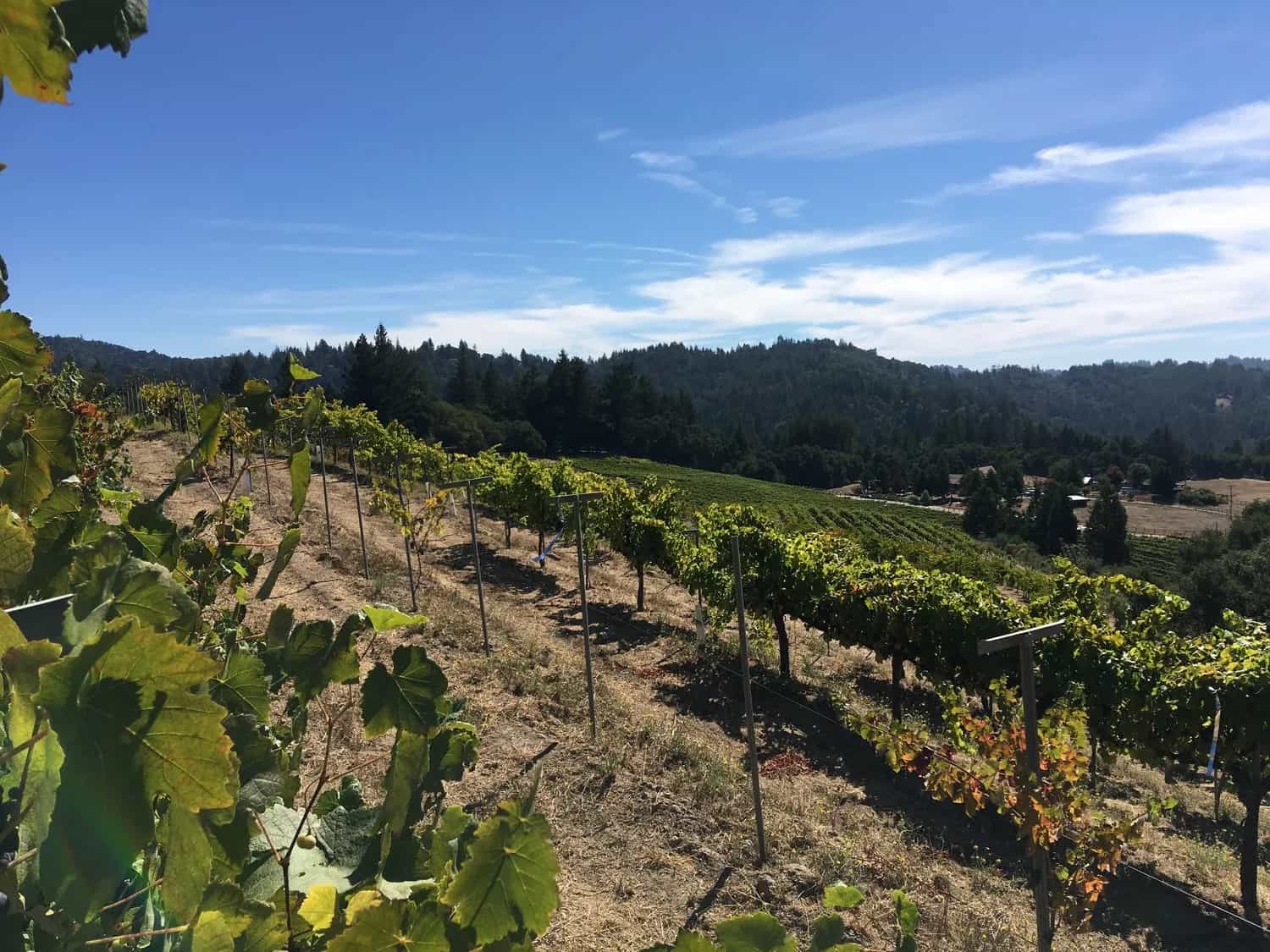 wineSpec