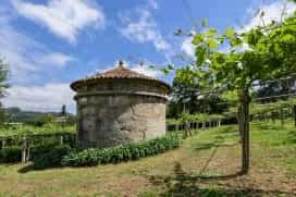 wineSpec