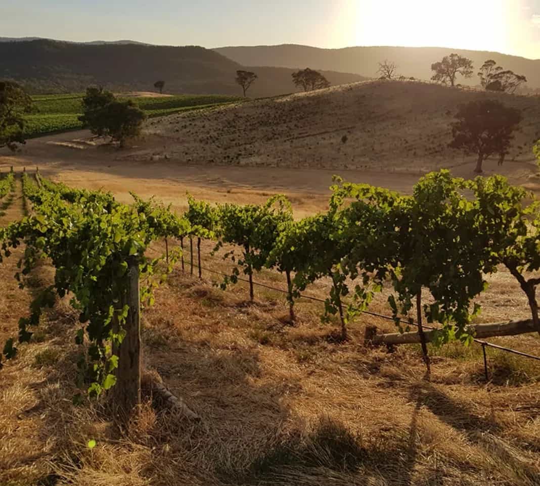 wineSpec