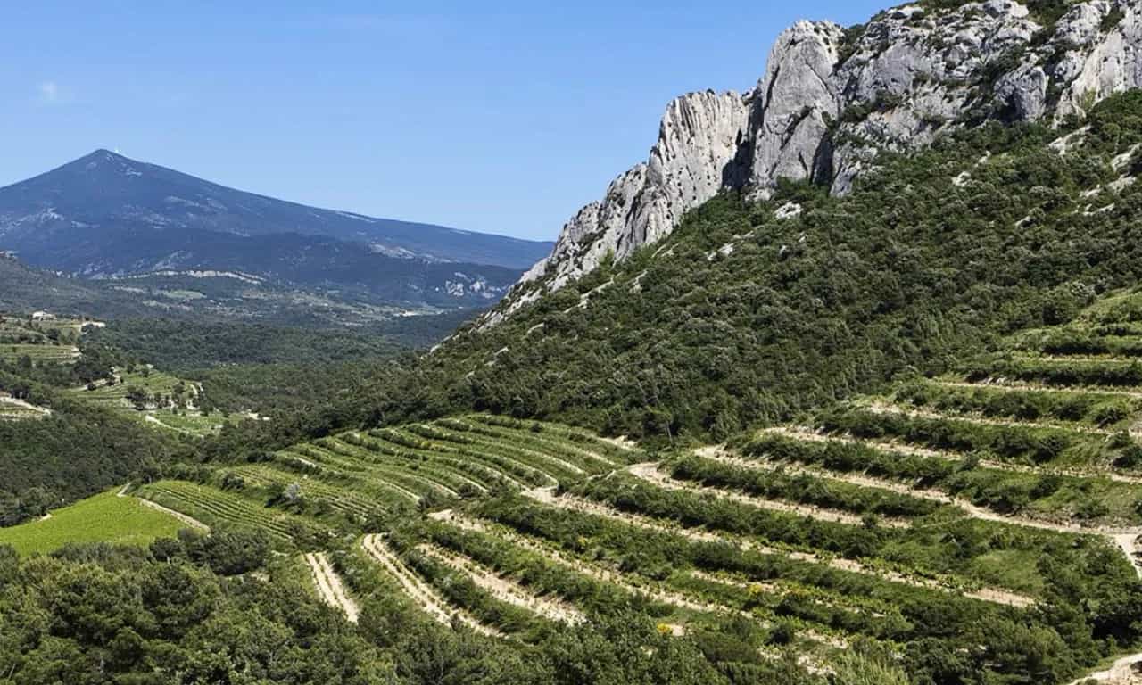 wineSpec
