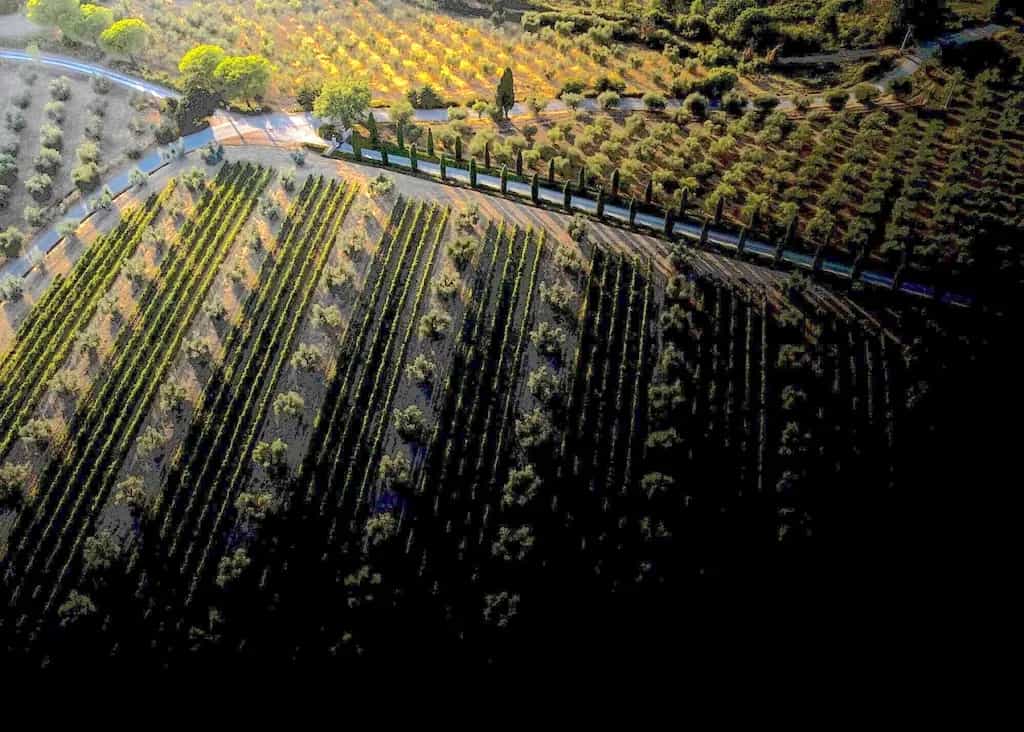 wineSpec