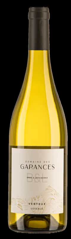 wine-img