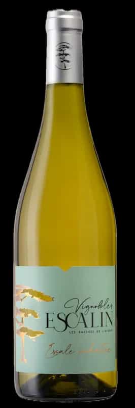 wine-img