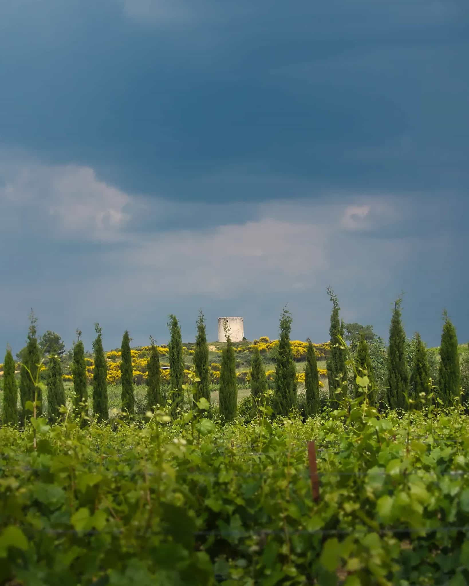 wineSpec