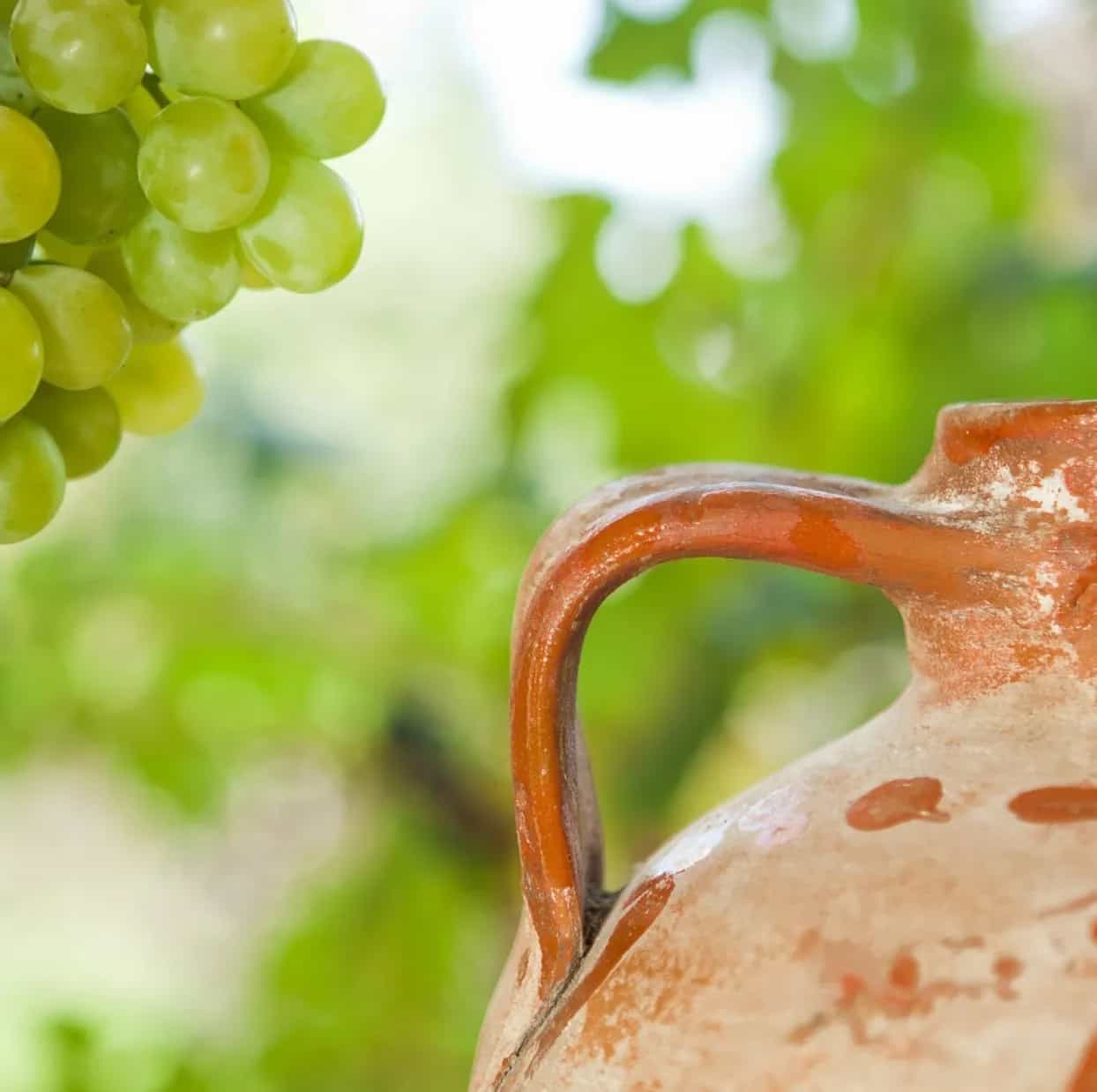 wineSpec