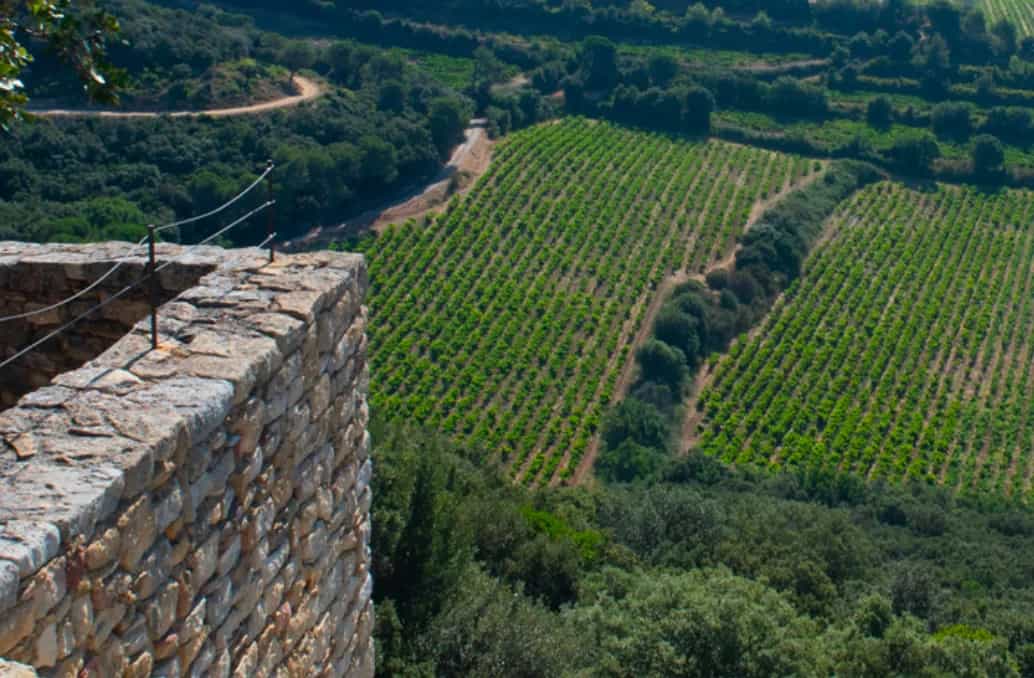 wineSpec