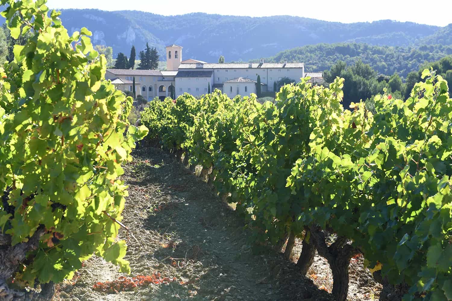 wineSpec