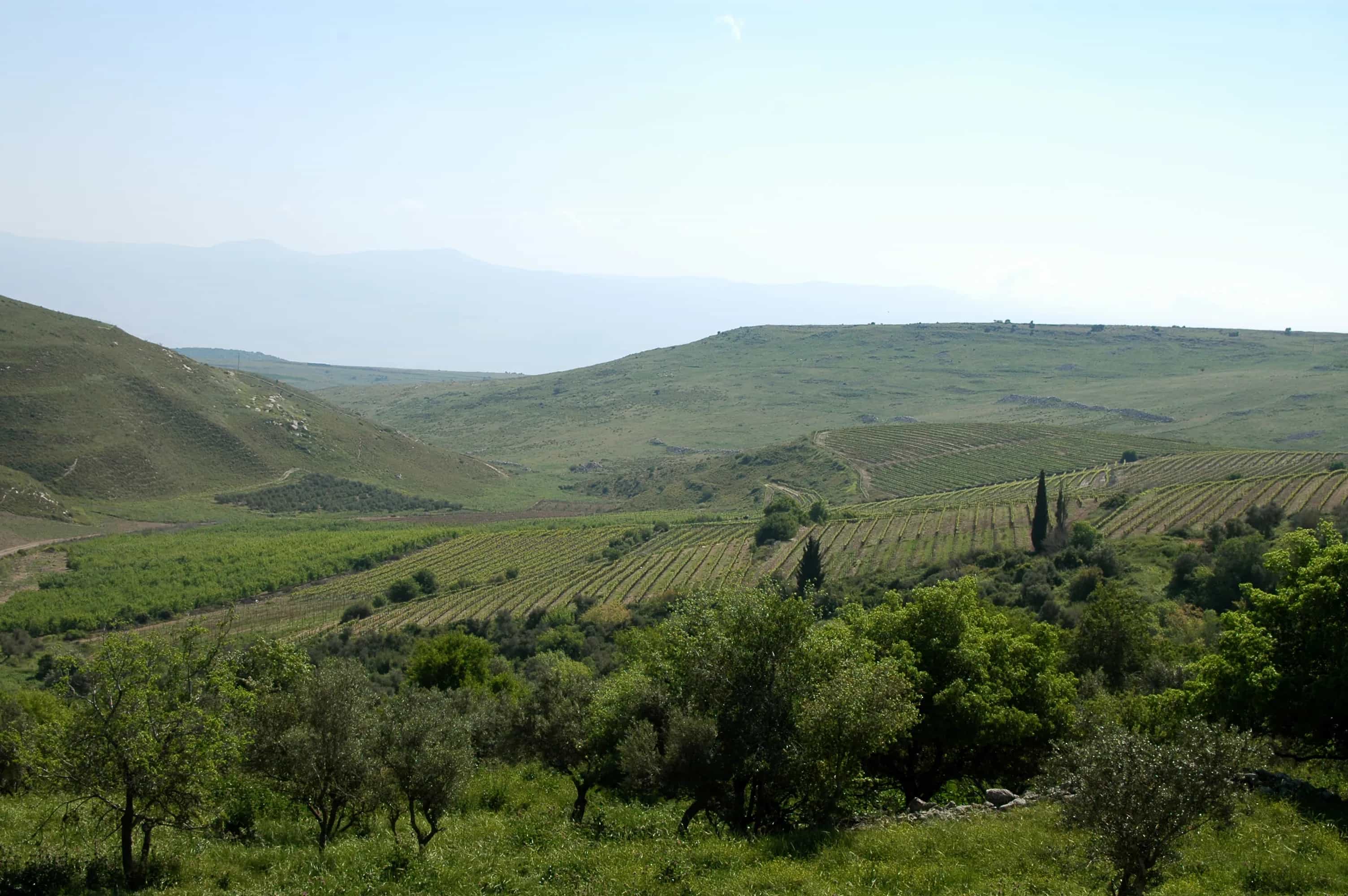 wineSpec