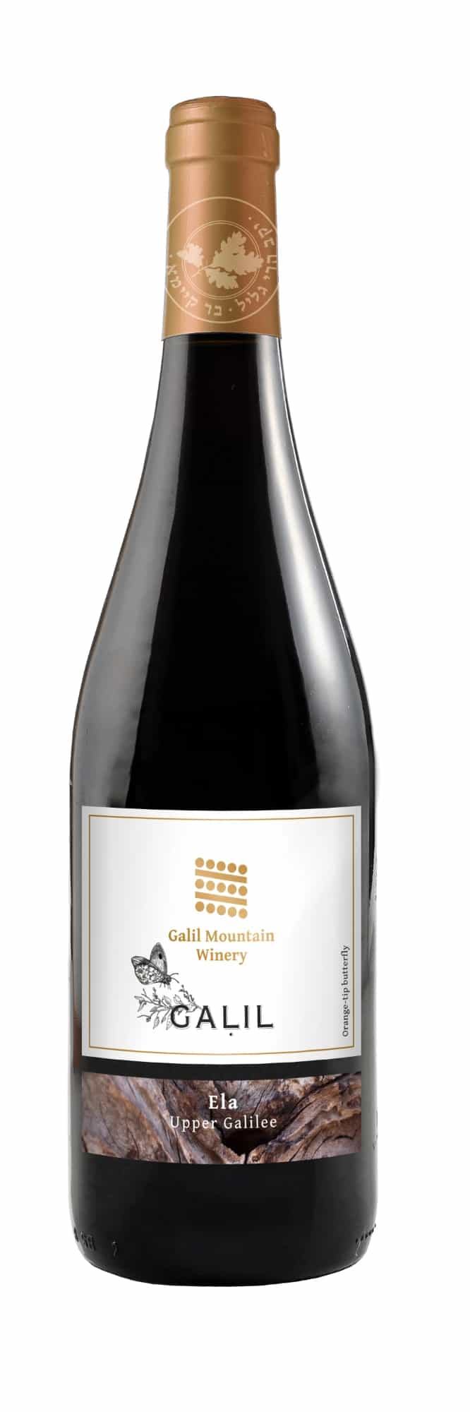 wine-img