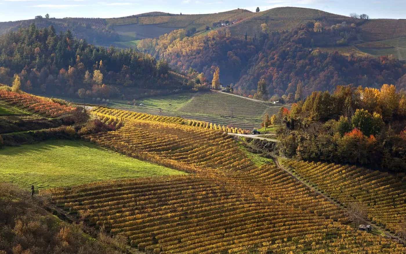 wineSpec