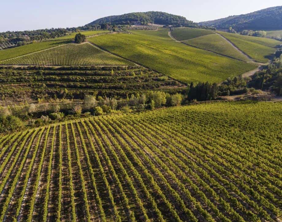 wineSpec
