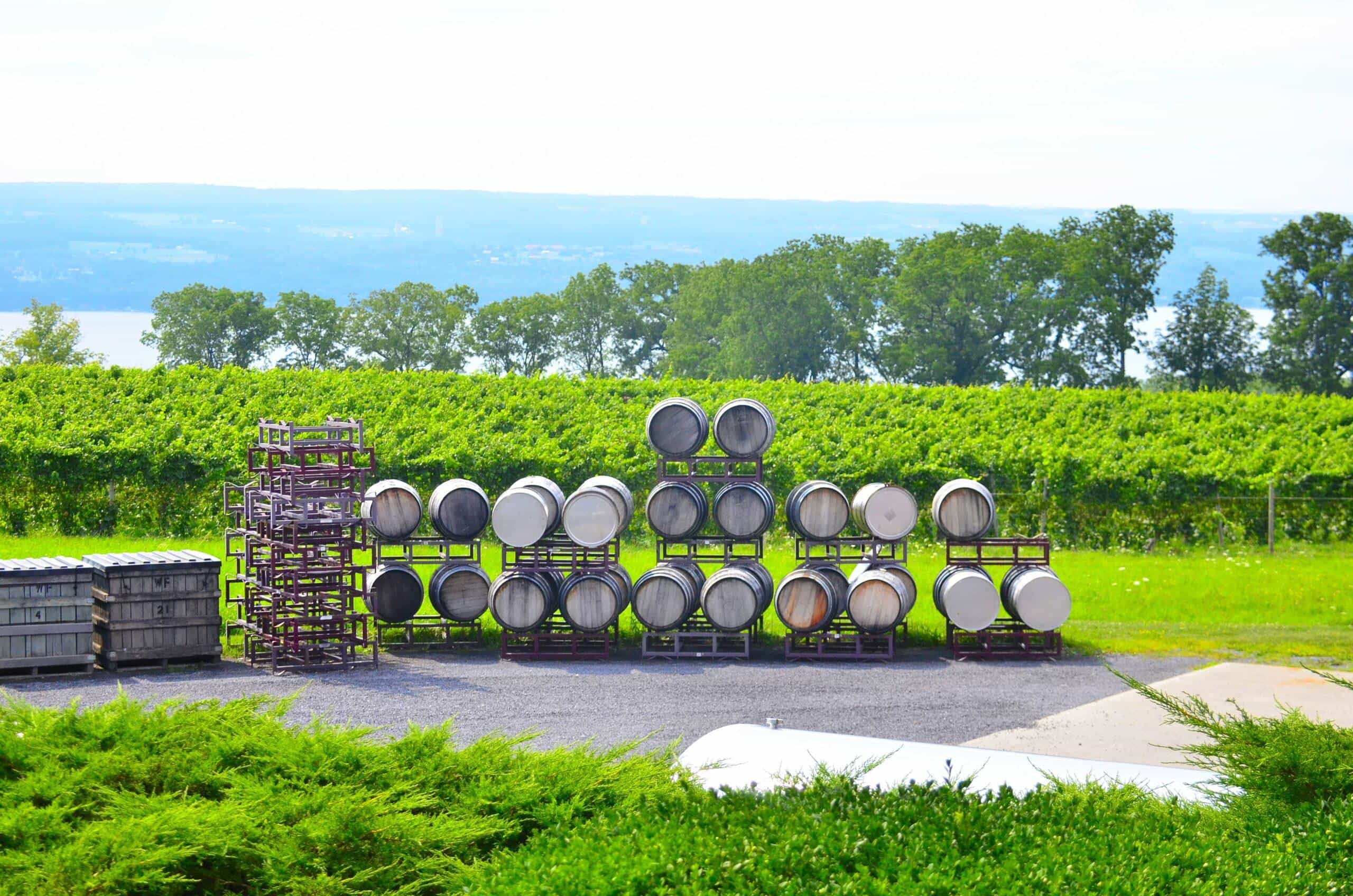 wineSpec