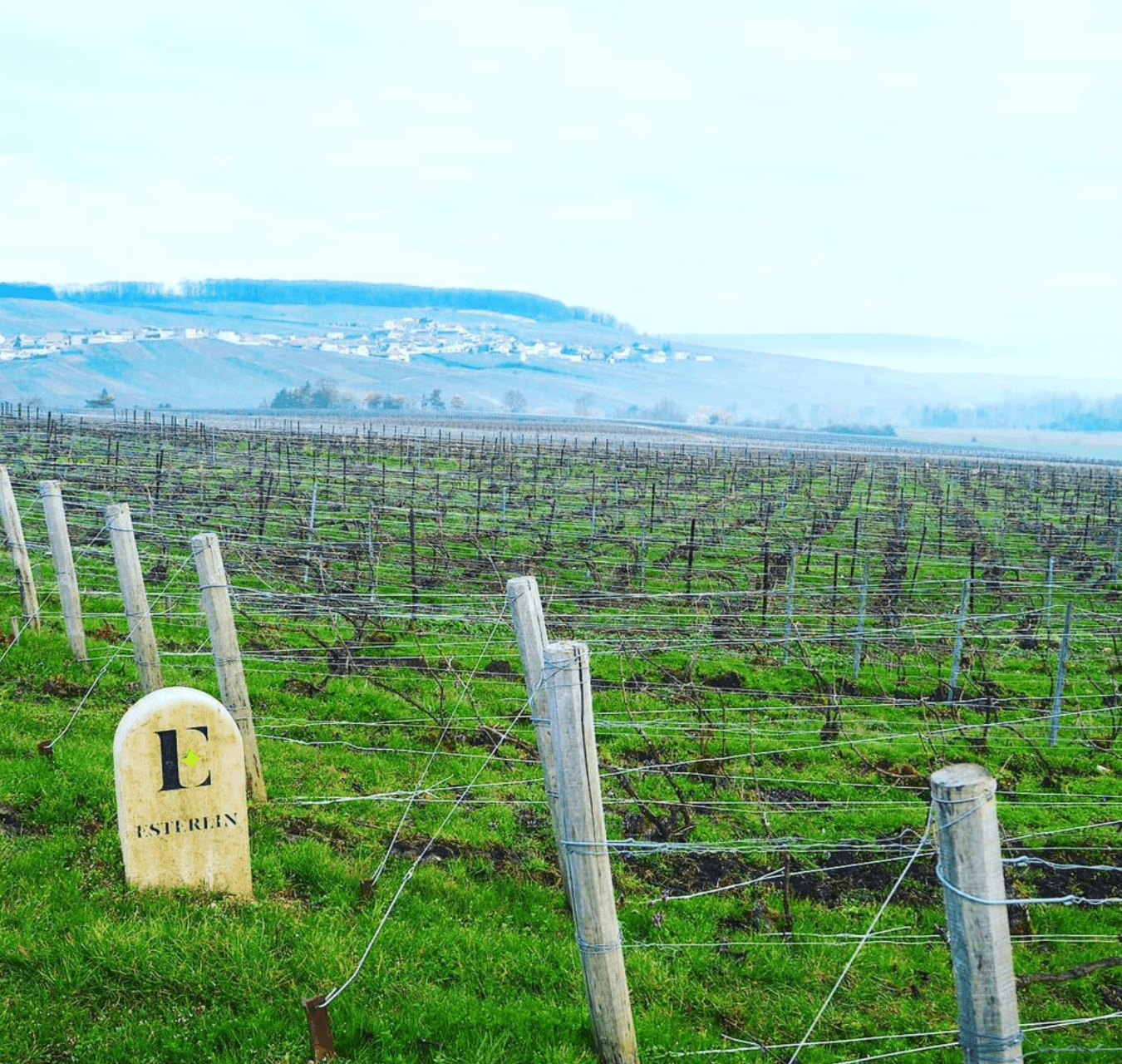 wineSpec