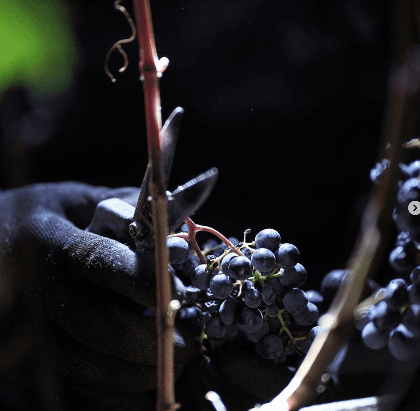 wineSpec