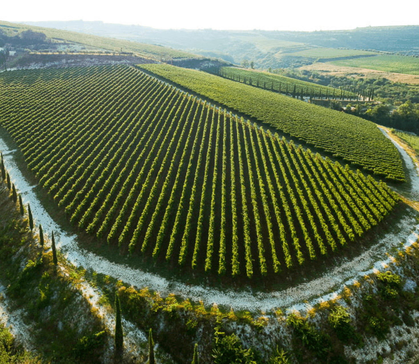 wineSpec