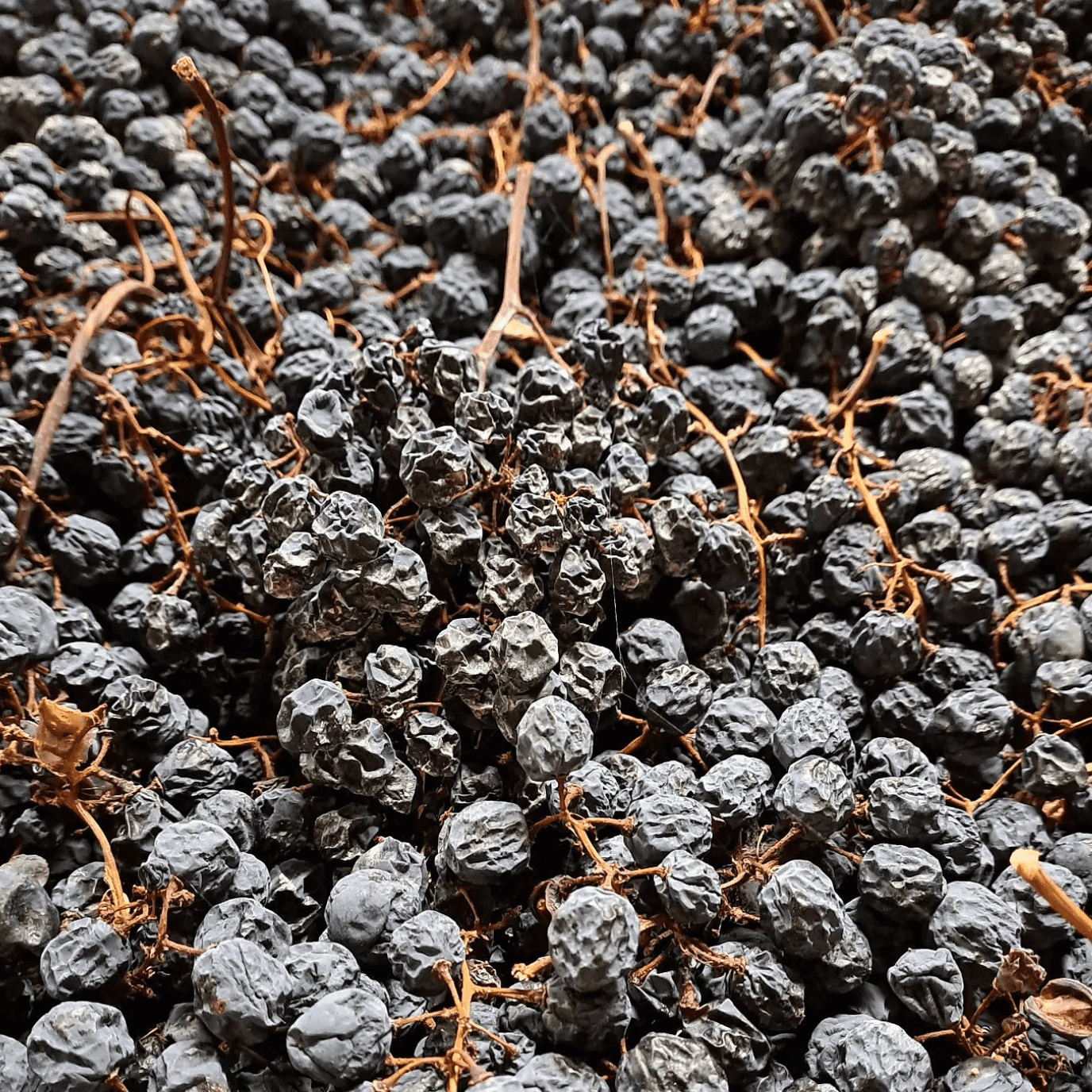 wineSpec