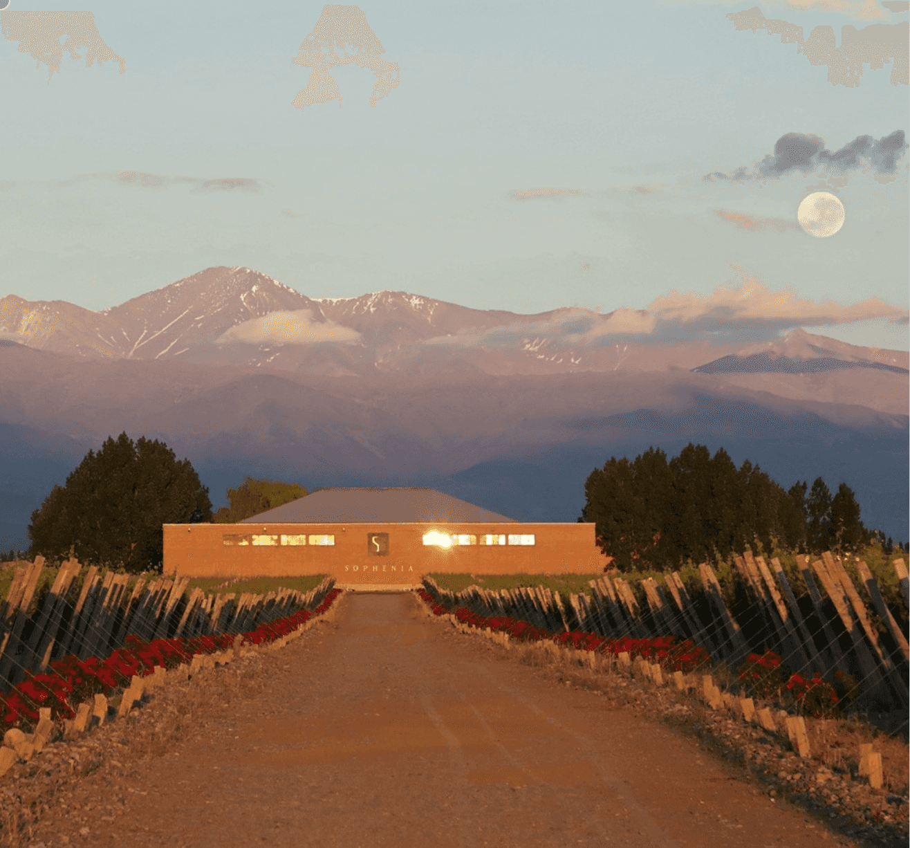 wineSpec