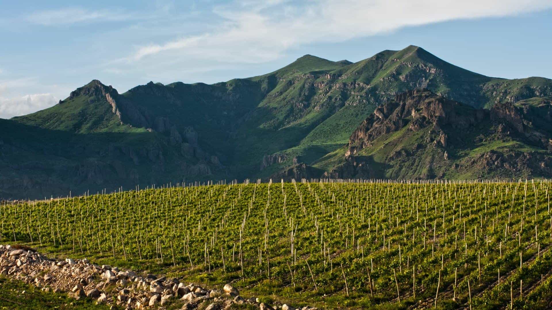 wineSpec