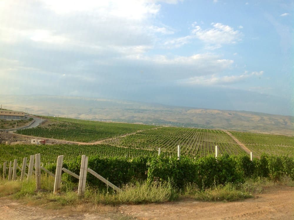 wineSpec