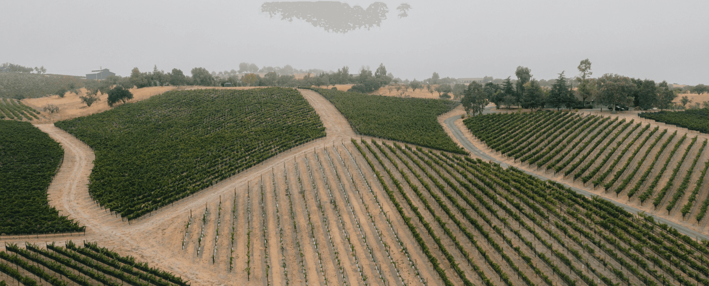 wineSpec