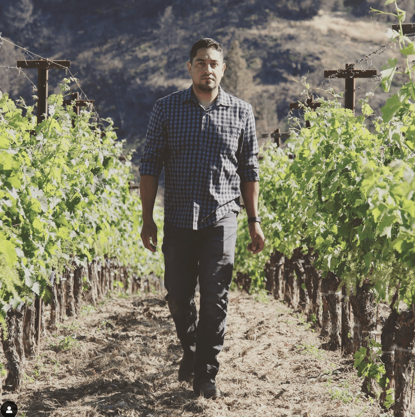 wineSpec