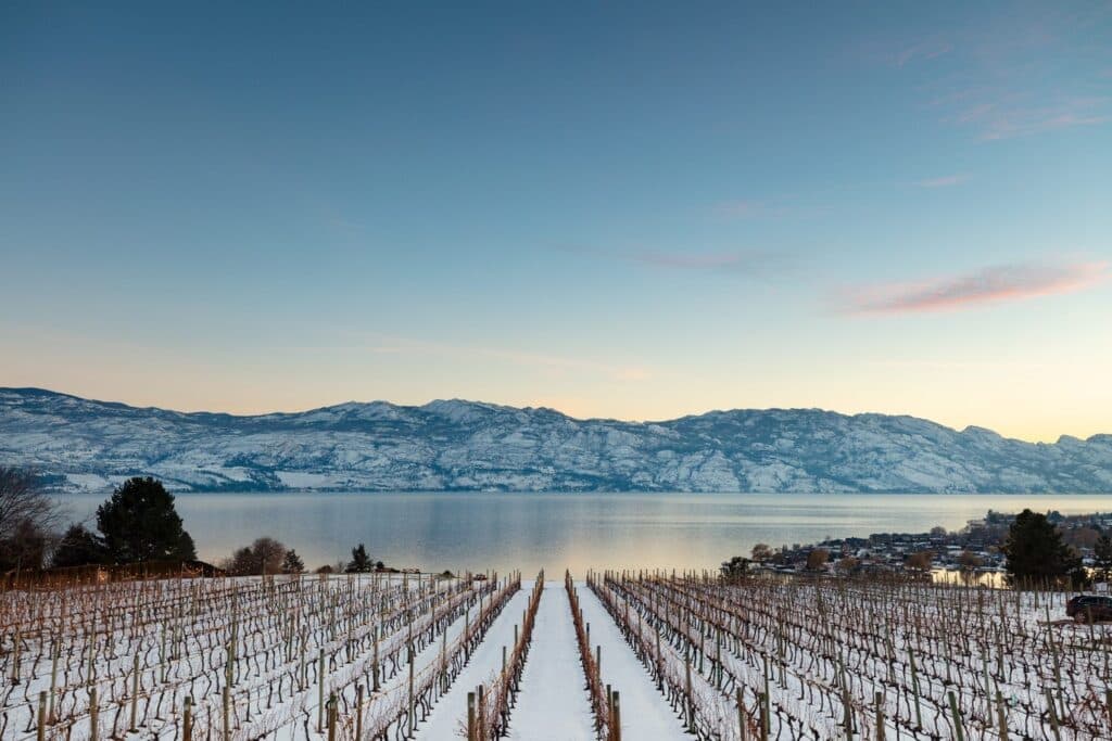 wineSpec