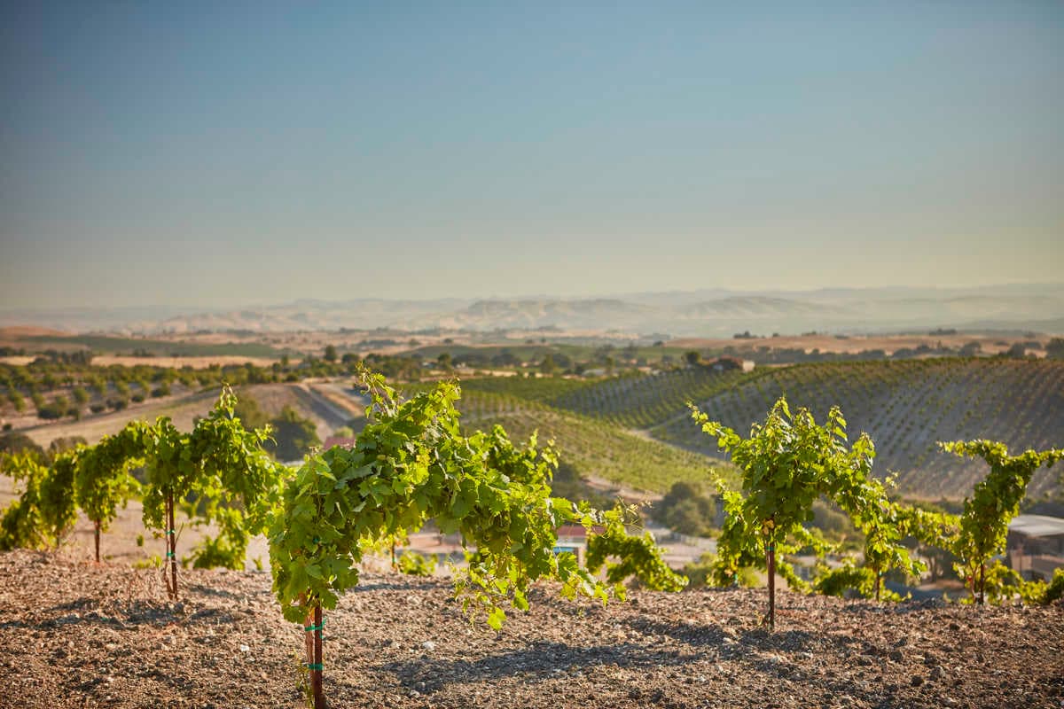 wineSpec