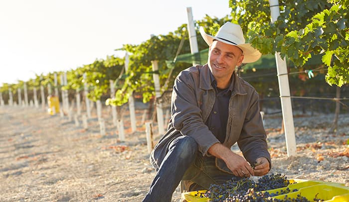 wineSpec