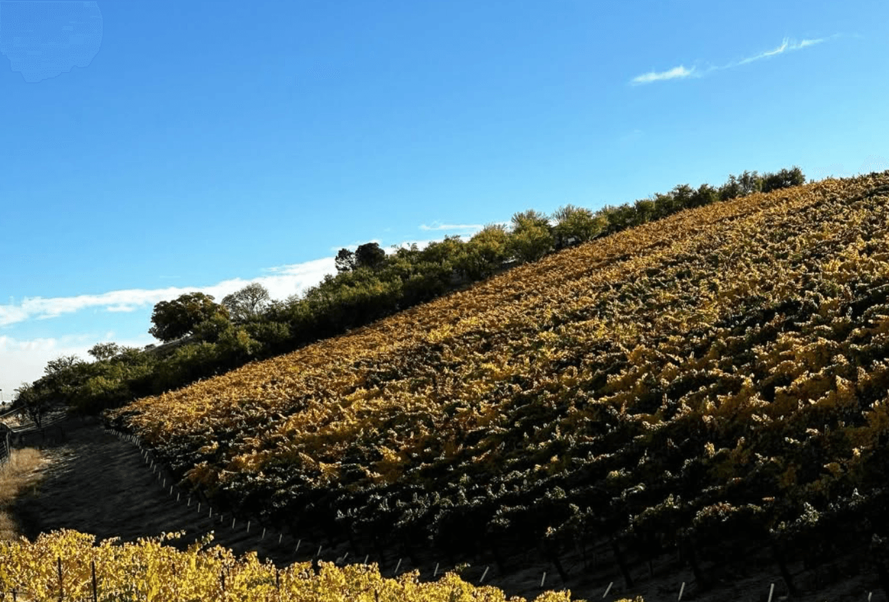 wineSpec