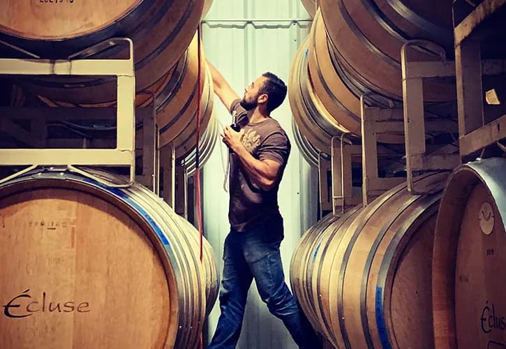 wineSpec