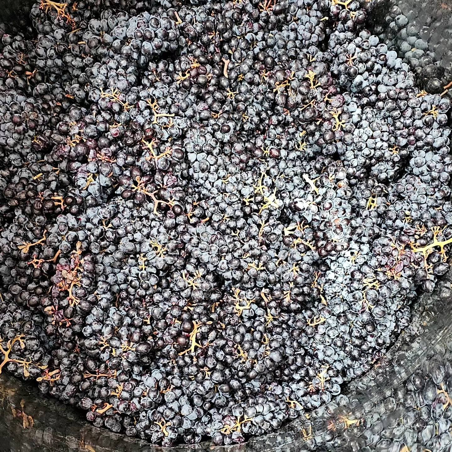 wineSpec