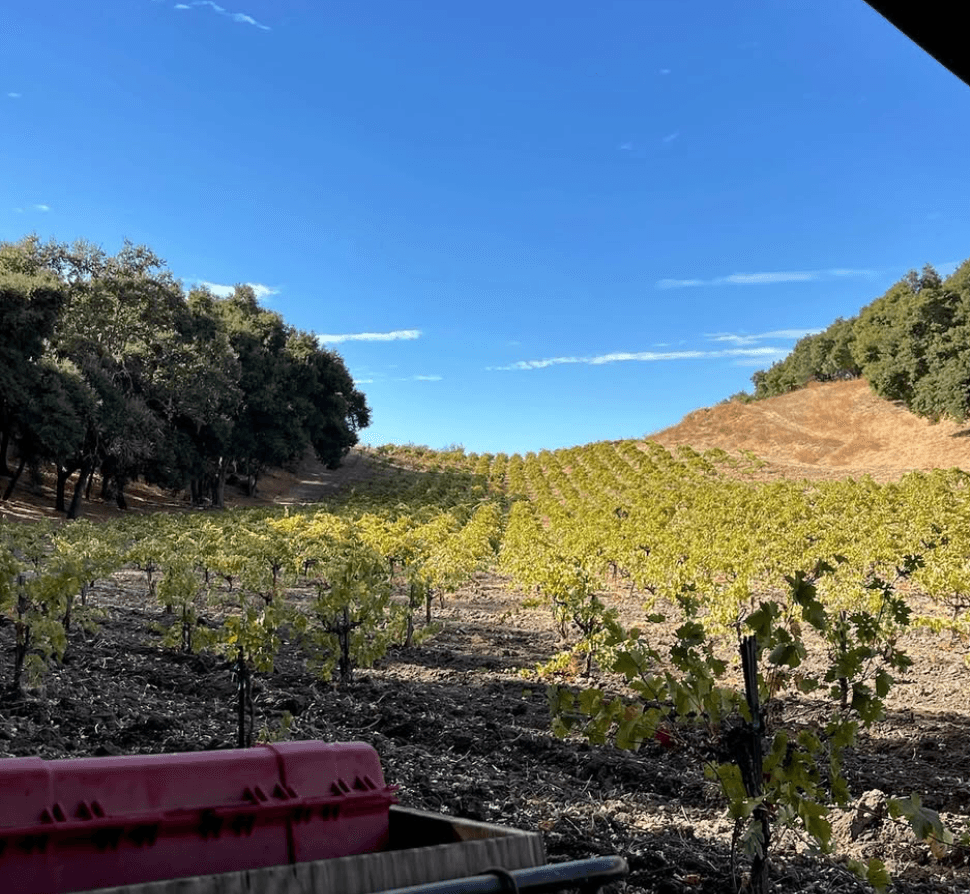 wineSpec