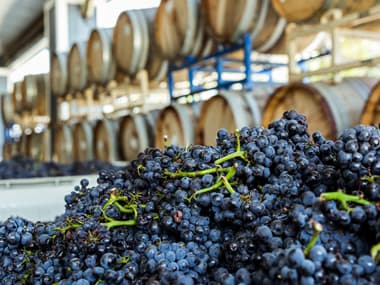 wineSpec