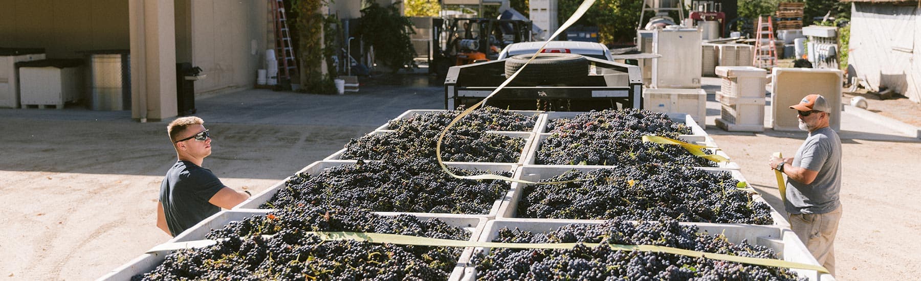 wineSpec