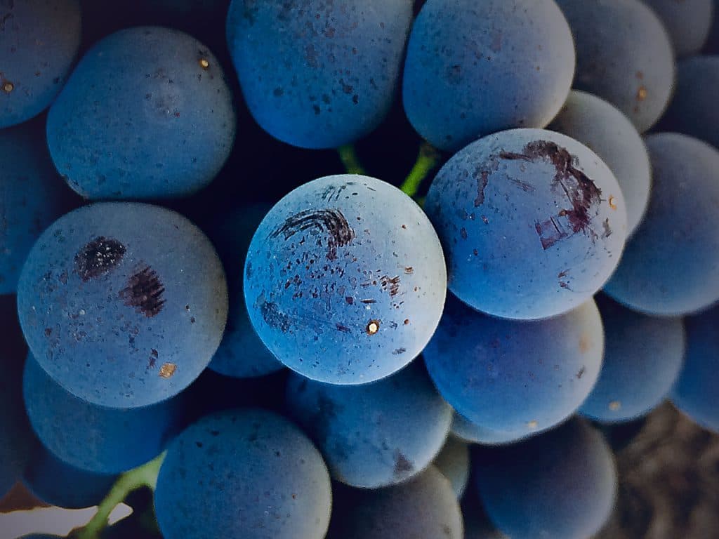 wineSpec