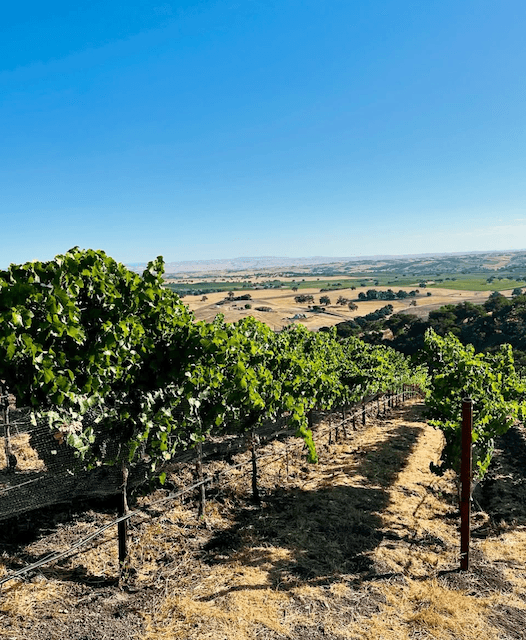 wineSpec