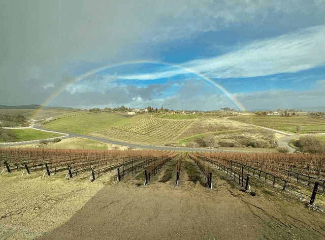 wineSpec