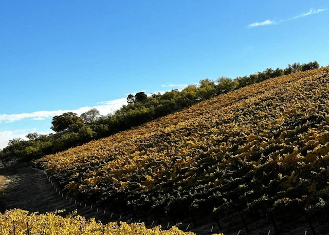wineSpec