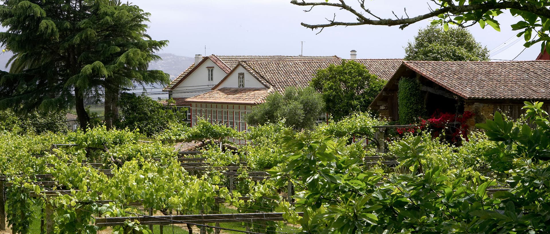 wineSpec