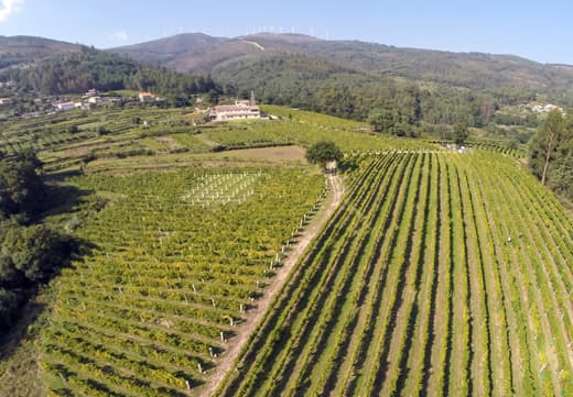 wineSpec