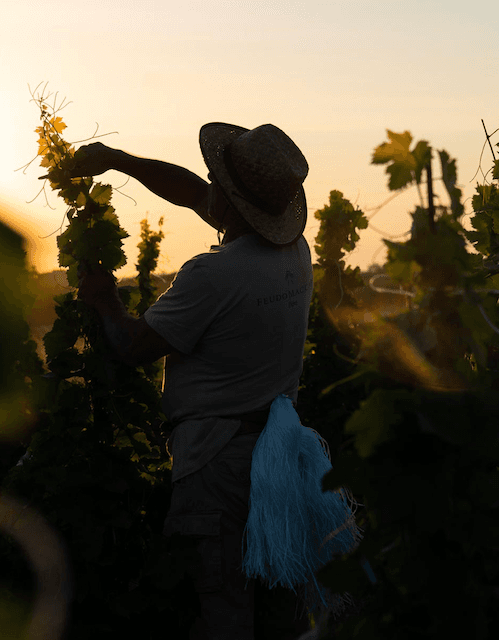 wineSpec