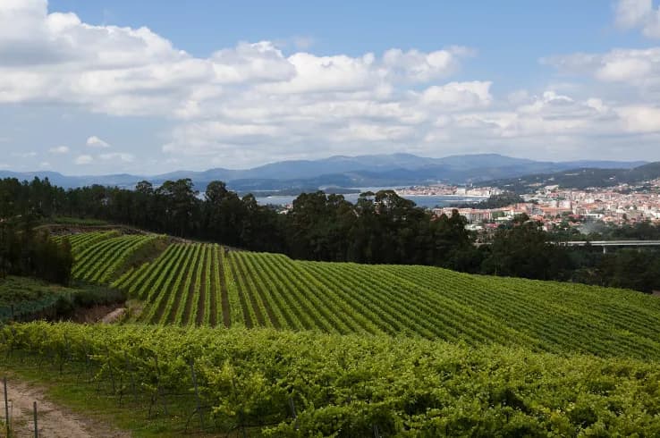 wineSpec