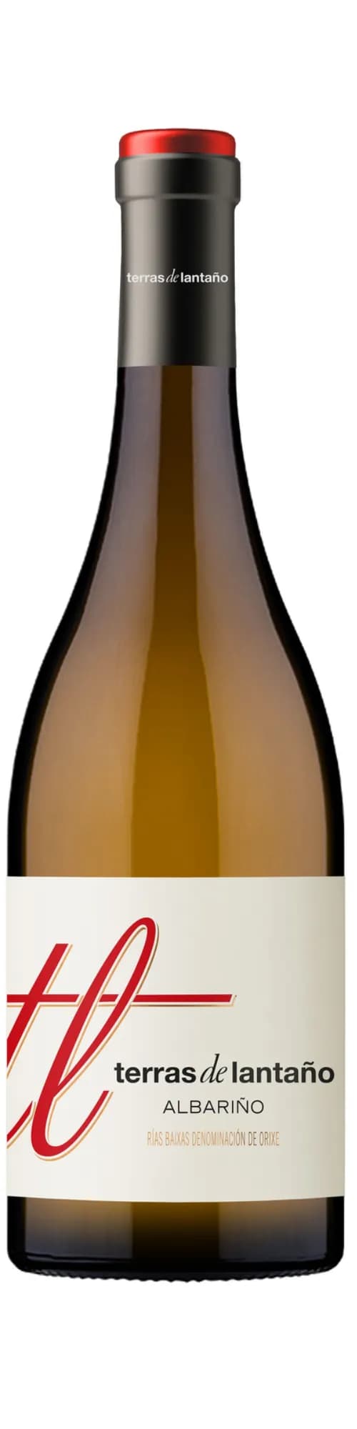 wine-img