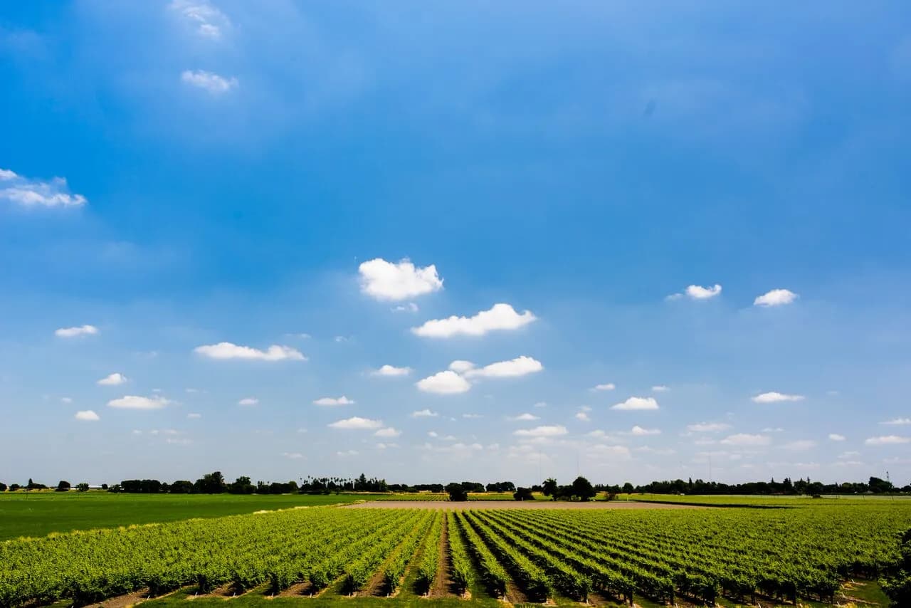 wineSpec