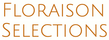 WineFare 2025-logo
